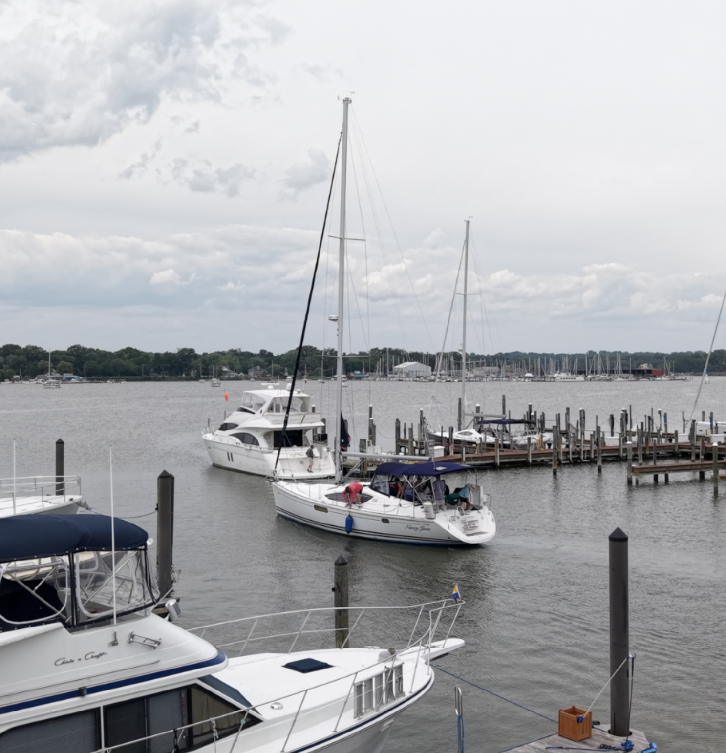 Yachts and sailboats at the Chesapeake Yacht Club marina